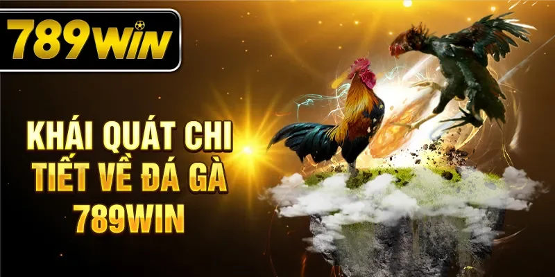 Khái quát chi tiết về đá gà 789WIN