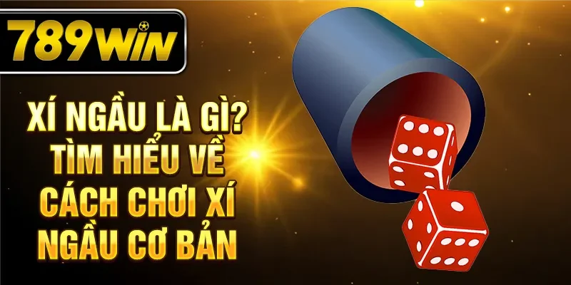 Xí ngầu là gì? Tìm hiểu về cách chơi xí ngầu cơ bản