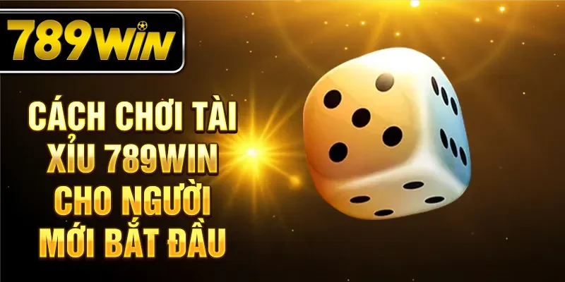 Cách chơi tài xỉu 789WIN cho người mới bắt đầu