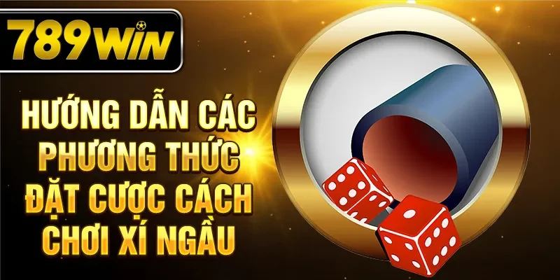 Hướng dẫn các phương thức đặt cược cách chơi xí ngầu