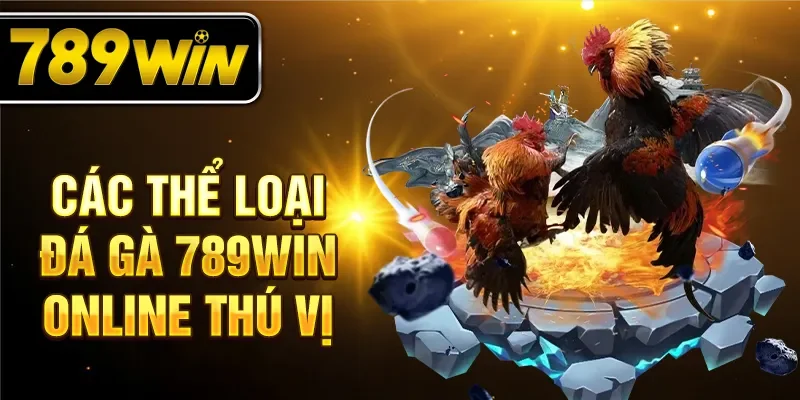 Các thể loại đá gà 789WIN online thú vị