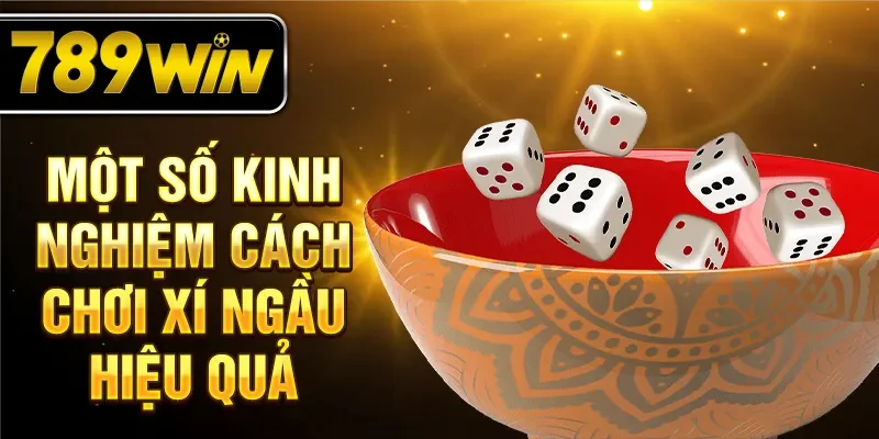 Một số kinh nghiệm cách chơi xí ngầu hiệu quả