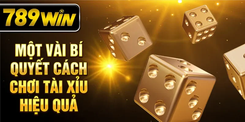 Một vài bí quyết cách chơi tài xỉu hiệu quả